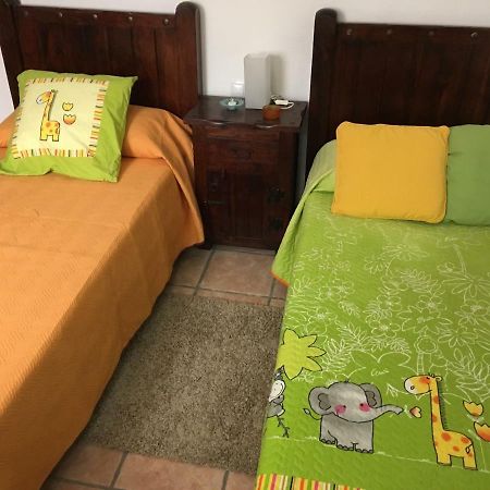 Casa Daniela Villa อาร์เรซิเฟ ภายนอก รูปภาพ